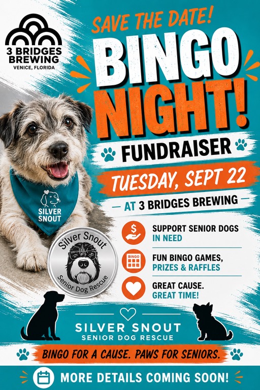 Bingo Night Fundraiser
