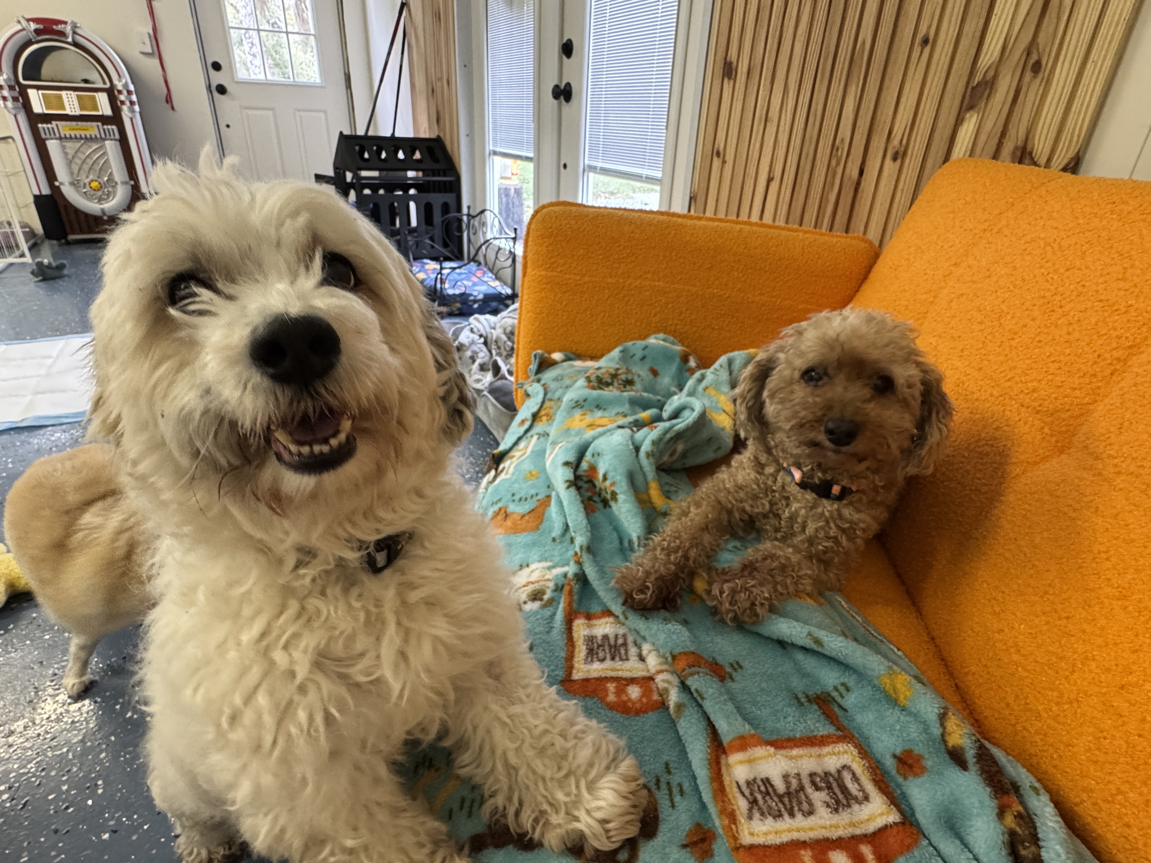 Sparky & Coco